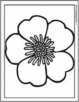 Coloring Primrose Pages Rose Simple Sheets Primroses Wild Pdf Printables Colorwithfuzzy Kids sketch template