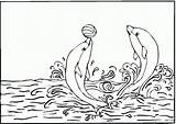 Dolphin sketch template