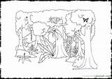 Coloring Pages Rainforest Amazon Plants Ages Printable Clipart Clip Coloringhome Jungle Library Choose Board sketch template