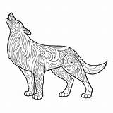 Wilk Volwassenen Lupo Kolorowanka Loup Coloriage Adultes Kleurplaten Lobos Chidas Zentangle Mandalas Rysunek Chidos Animales Dorosłych Colorir Adultos Vetor Caras sketch template