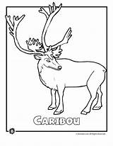 Coloring Caribou Endangered Pages Animals North America Kids Animal Jr Rainforest Activities Print Printables Popular Coloringhome Comments sketch template