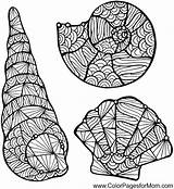Zentangle Coquillage Shell Colorpagesformom Zentangles Graphique sketch template