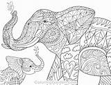 Elephant Coloring Adult Baby Pages Printable Animal Adults Colouring Mandala Coloringgarden Elephants Sheets Book Animals Getdrawings Patterns Visit Pdf Choose sketch template