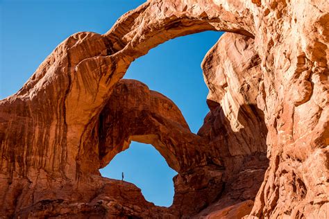 arches national park utah  life  earth