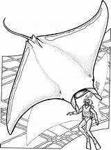 Manta Coloring Pages Ray Swimmer Great Attacked Diver Giant sketch template
