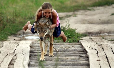 g1 família transforma lobos em animais de estimação em belarus notícias em planeta bizarro