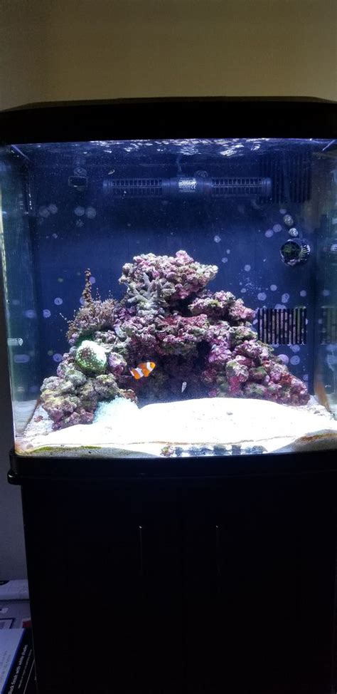 coralife biocube  gallon led aquarium  sale  fullerton ca offerup
