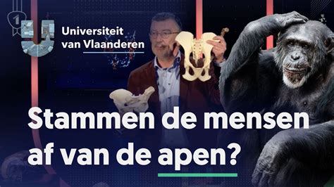 stammen de mensen af van de apen youtube