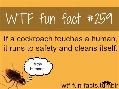 wtf fun facts wtf fun facts funny and weird facts fun facts wtf