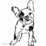 Bulldog French Coloring Pages Dog Terrier Bull Silhouette Drawing Boston Para Frances Dibujo Easy Clipart Yorkshire Perros Perro Stencils Stencil sketch template