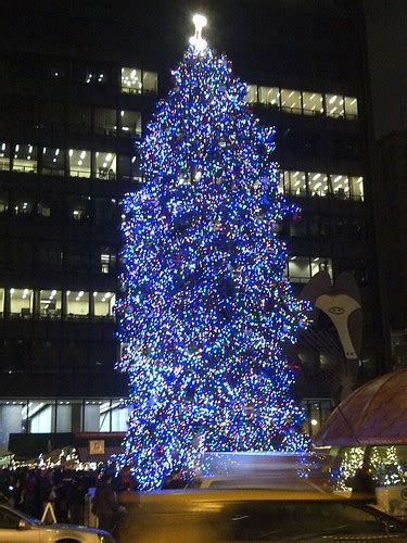 chicagos  daley plaza christmas tree  artistmac flickr
