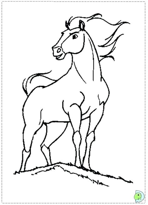 stallion coloring pages  getcoloringscom  printable colorings