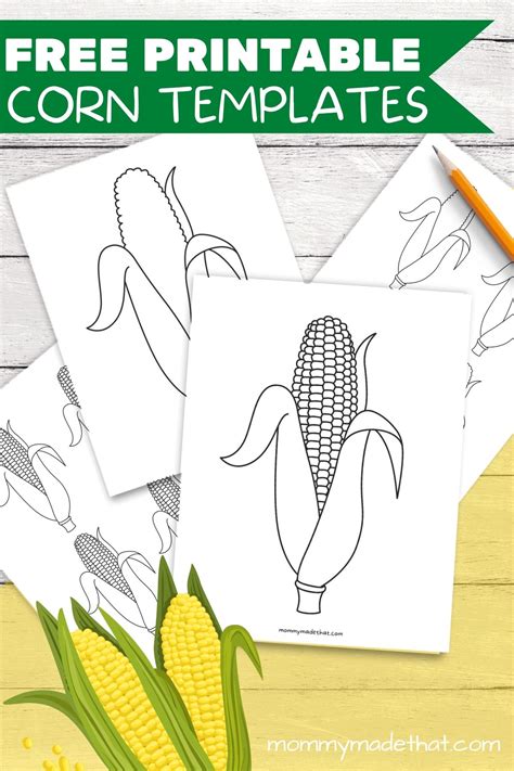 printable corn templates outlines  fall crafts