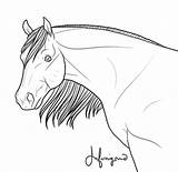 Halter Coloring Horse Comments sketch template