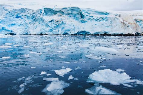 melting antarctic  push seas  catastrophic levels