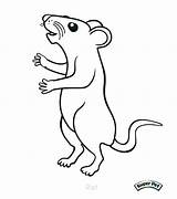 Rat Coloring Pages Cartoon Cute Rats Rod Getcolorings Colouring Kangaroo Click Printable Color Coloringbay Lab sketch template