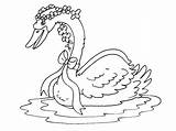 Cygne Coloriage Cygnes Coloriages Télécharge Partage sketch template