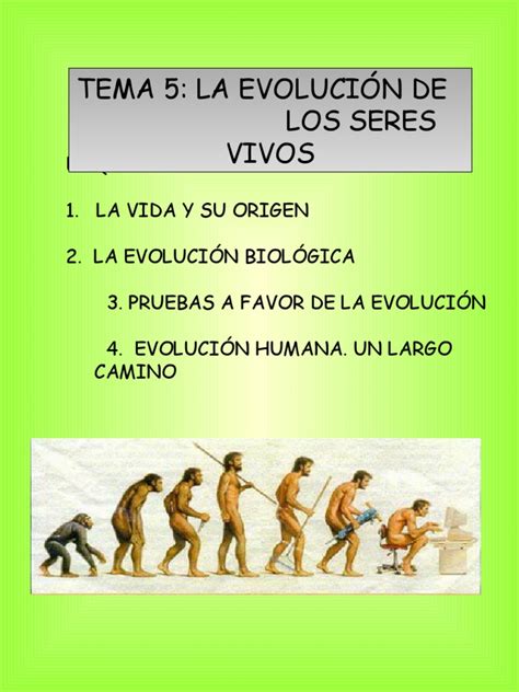 Teorias De La Evolucion De Los Seres Vivos Teoria De La Evolucion