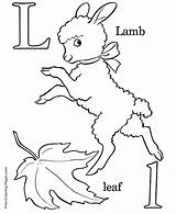 Coloring Alphabet Pages Lamb sketch template