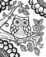 Coloring Owl Pages Baby Getcolorings Printable Adults sketch template