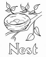 Nest Coloring Pages Drawing Bird Kids Birds Printable Easy Alphabet Letter Pre Colouring Abc Honkingdonkey Activity Sheets Color Ws Clipart sketch template