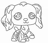 Lps Littlest Husky Clipart Drawings Collie Seekpng Webstockreview sketch template