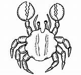 Crab Pincers Coloring Coloringcrew sketch template