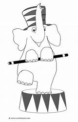 Coloring Elephant Pages Circus Funny Elephants Cute sketch template