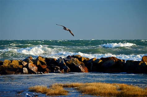 wild cape  bay corporation beach photograph  dianne cowen cape   ocean photography