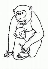 Coloring Pages Gorilla Printable Night Good sketch template