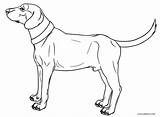 Dog Coloring Pages Weiner Real House Dachshund Schnauzer Bone Printable Getcolorings Puppy Line Realistic Color Awesome Drawing Kids Snoopy Getdrawings sketch template