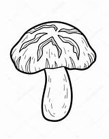 Mushrooms Shiitake sketch template