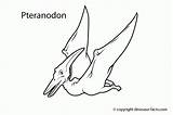 Dinosaur Coloring Pages Pteranodon Dinosaurs Kids Jurassic Printable Facts Realistic Names Flying Microraptor Rex Sheets Preschool Print Popular Library Clipart sketch template