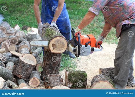 wood cutting stock photo image