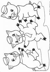 Cerditos Motivo Disfrute Pretende Niños sketch template