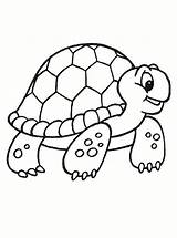 Tortugas Kura Mewarnai Tortuga Dibujar Tiernas Idibujosparacolorear Galápagos Turtles sketch template