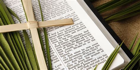 palm sunday scriptures top bible verses  palm sunday