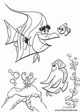 Nemo Stingray sketch template