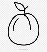 Pinclipart Apricot sketch template