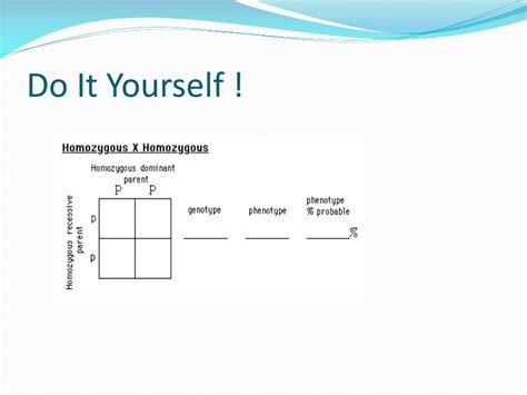 ppt punnett squares review powerpoint presentation free download