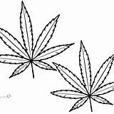Weed Marijuana sketch template