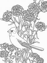 Coloring Flowers Bird Pages Birds Cardinal Beautiful Printable Color Among Pretty Blue Sheet Drawing Flower Bonnet Getdrawings Getcolorings Print Popular sketch template