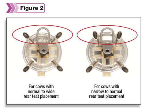 looking to improve milk performance check teat cup liners progressive dairy