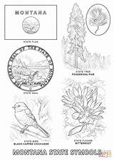 Coloring Montana State Mississippi Tree Symbols Pages Print Kids Cultures Countries Bird sketch template