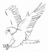 Eagle Coloring Pages Printable Bird Para Aguila Birds نسر Drawing Alphabet Colouring Arabic Kids Crafts Sketch Gif Print Noon Colorear sketch template