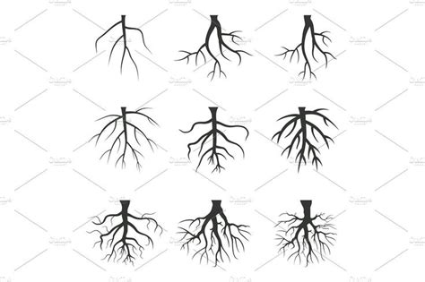 root tree roots tattoo roots illustration pattern art