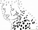 Dots Cheetah Connect Dot Animals Kids Power Worksheet Clipart Printable Coloring Print Popular Online Library Coloringhome sketch template