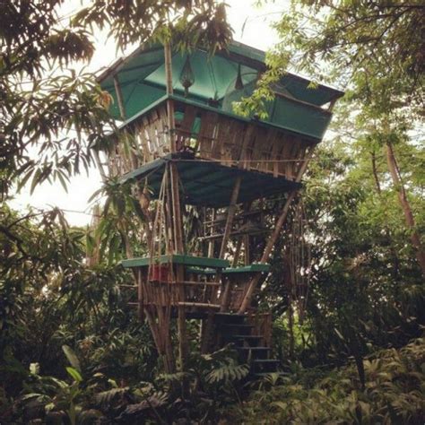 tropical treehouse rincon puerto rico house styles house cabin