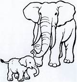 Mewarnai Gajah Gambar Kelompok Alia Bermain sketch template