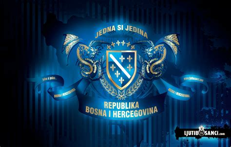 image republika bosna  hercegovinapng  sim wiki fandom powered
